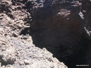 otta delle femmine di monte Nero-12-05-2013 11-52-49